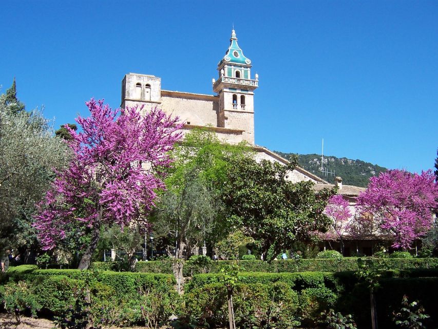 Mallorca: Soller Port and Valldemossa - Key Things You’ll Notice on This Tour