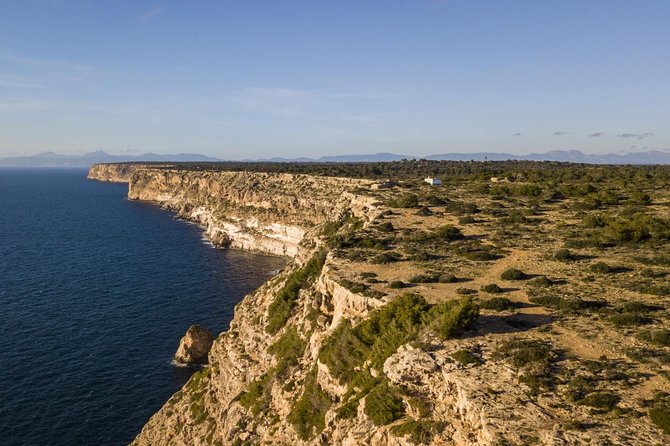 Mallorca Southern cliffs and the Salt Marshes guided Tour - Key things to know before you go