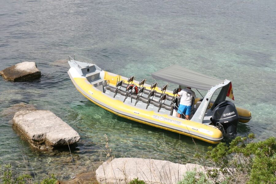 Mallorca : Speedboat, Snorkelling and Swimming Adventure - Key Things To Know Before You Go