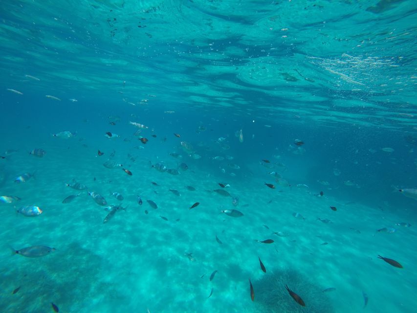 Mallorca : Speedboat, Snorkelling and Swimming Adventure - Passing Landmarks Like the Lighthouse (And Why It’s Fun)