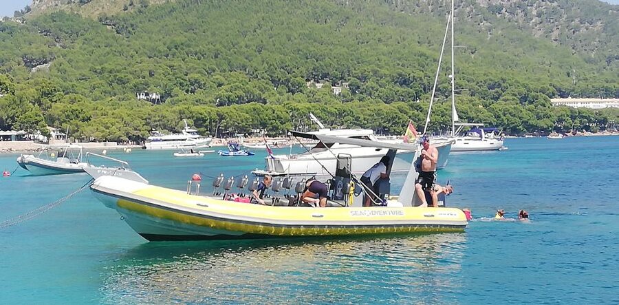 Mallorca : Speedboat, Snorkelling and Swimming Adventure - Price and Value: Is $40 Worth 1.5 Hours?