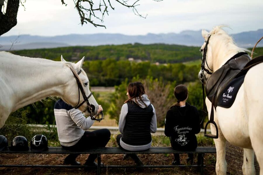 Mallorca: Sunset Horseback Ride with Drinks - The arena warm-up: helmets, posture, and a safer first half-hour