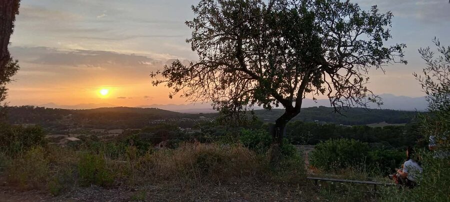 Mallorca: Sunset Horseback Ride with Drinks - The value at $182: what you’re really paying for