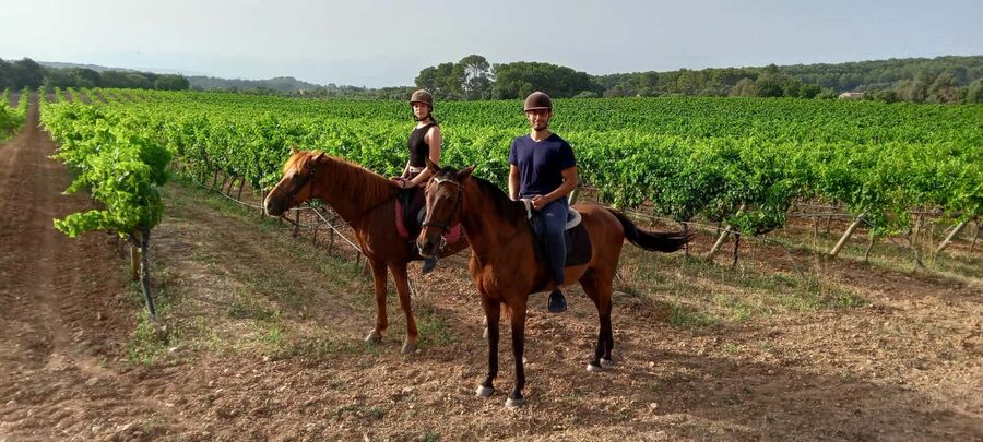 Mallorca: Sunset Horseback Ride with Drinks - Guides and the “you’ll feel taken care of” factor
