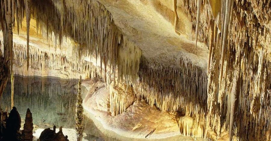 Mallorca: Ticket for Caves of Drach with Pickup Service - Key Things I’d Focus On