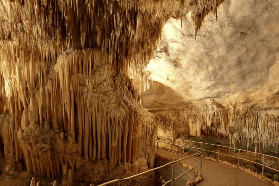 Mallorca: Ticket for Caves of Drach with Pickup Service - Self-Guided Cave Walk With QR Brochure: Freedom vs Context