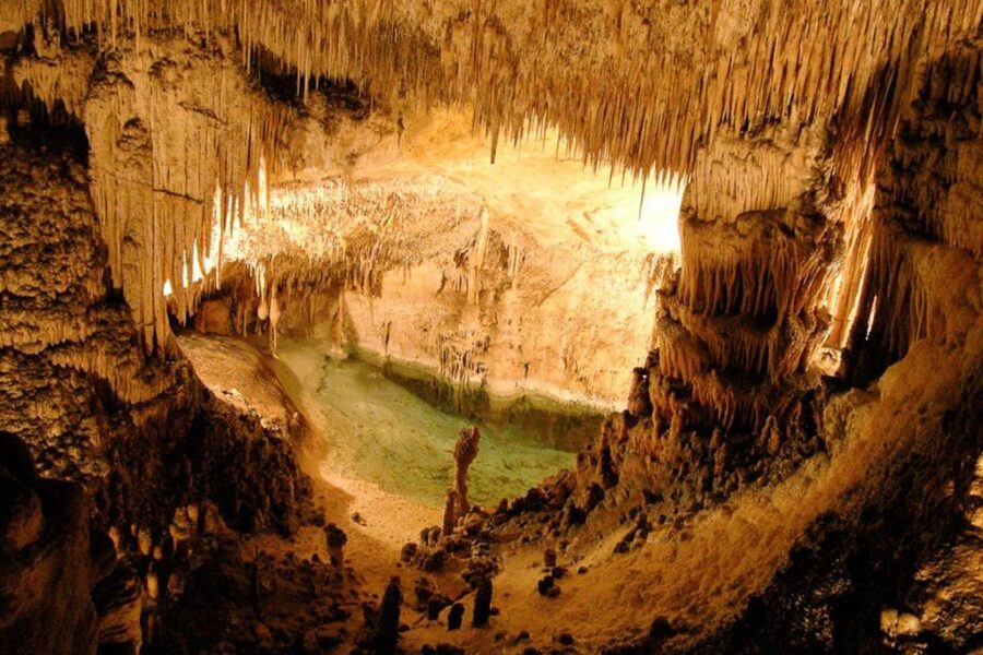 Mallorca: Ticket for Caves of Drach with Pickup Service - Price and Value: When This Package Feels Like a Smart Deal