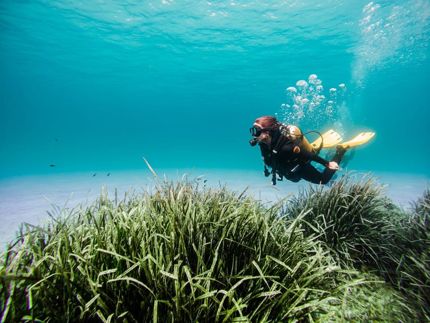 Mallorca: Try Scuba Diving by Boat - Key Things I’d Focus On Before You Go