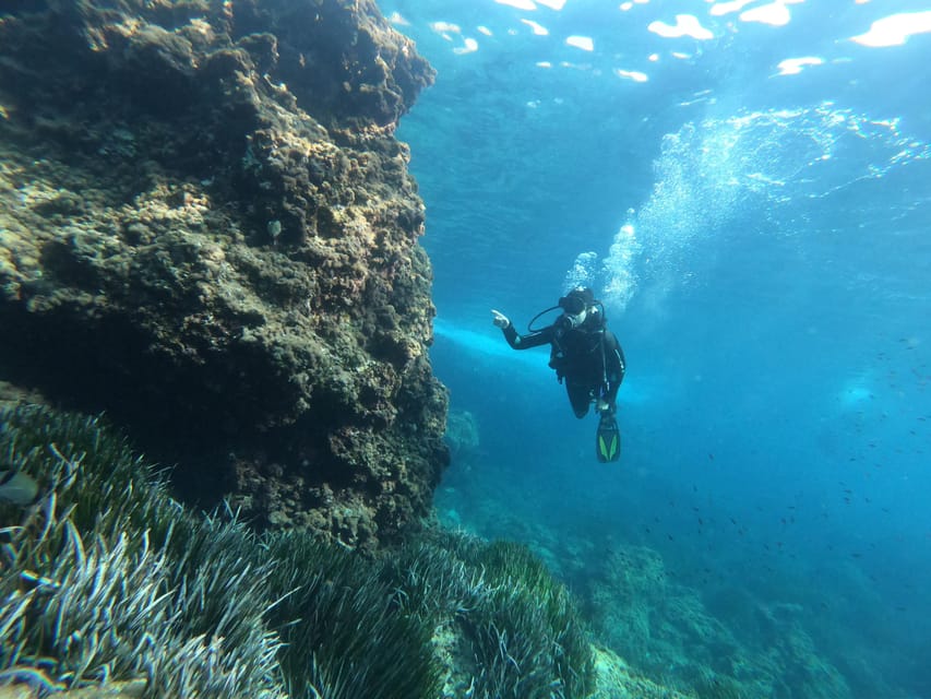 Mallorca: Try Scuba Diving by Boat - Price and Value: Is $123 for a 2-Hour Boat Session a Smart Move?