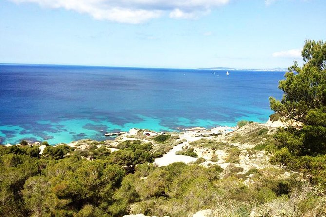 Mallorca: Try Scuba Diving in a Beautiful Nature Reserve - The real underwater experience: 6 meters, shore entry, and marine reserve variety