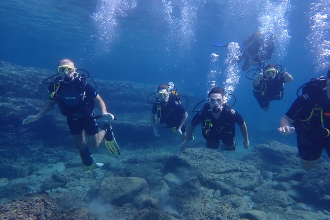 Mallorca: Try Scuba Diving in a Beautiful Nature Reserve - Timing rules that can make or break your plans