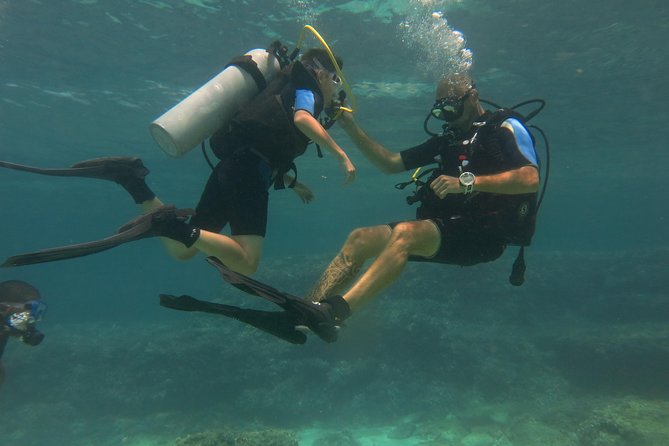 Mallorca: Try Scuba Diving in a Beautiful Nature Reserve - What you’ll do on the way from pick-up to your first breath underwater
