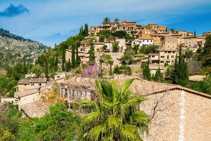 Mallorca: Valldemossa & Soller Tour - Guides and Group Feel: What the Best Parts Depend On