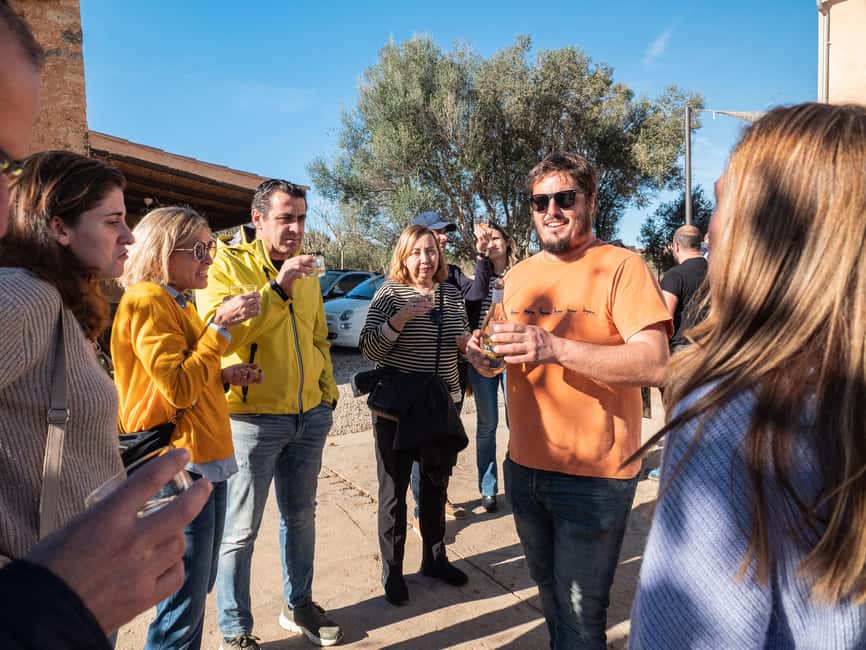 Mallorca: Visit a winery and enjoy a wine tasting, along with some Mallorcan products - Should you book 7103 petitceller in Santa Maria del Camí?