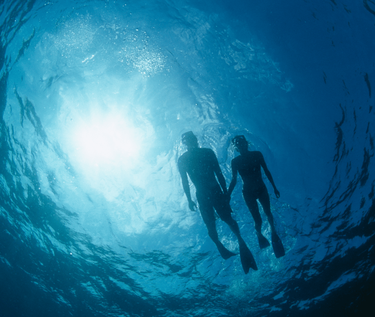 Mallorca: Visit Palma Speedboat adrenaline & snorkelling - My decision guide: should you book this speedboat and snorkel?