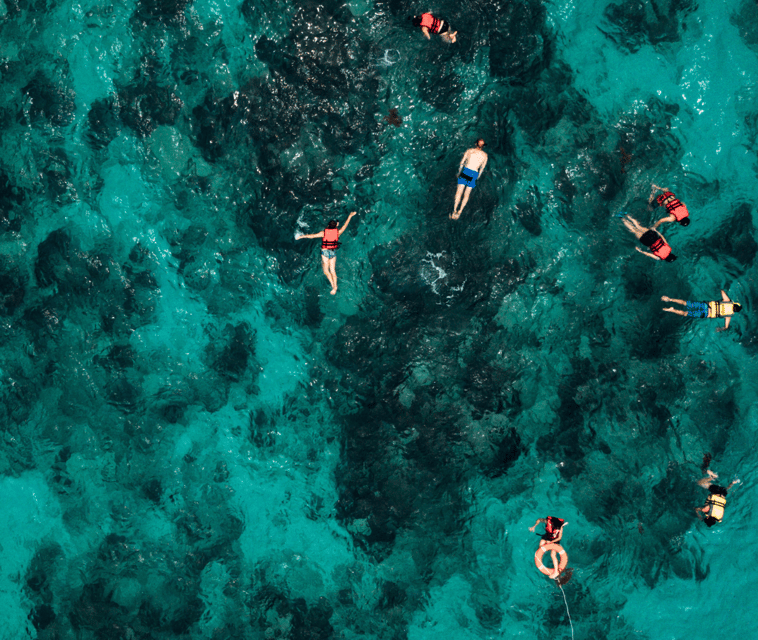 Mallorca: Visit Palma Speedboat adrenaline & snorkelling - Full-speed thrills with a captain who controls the ride