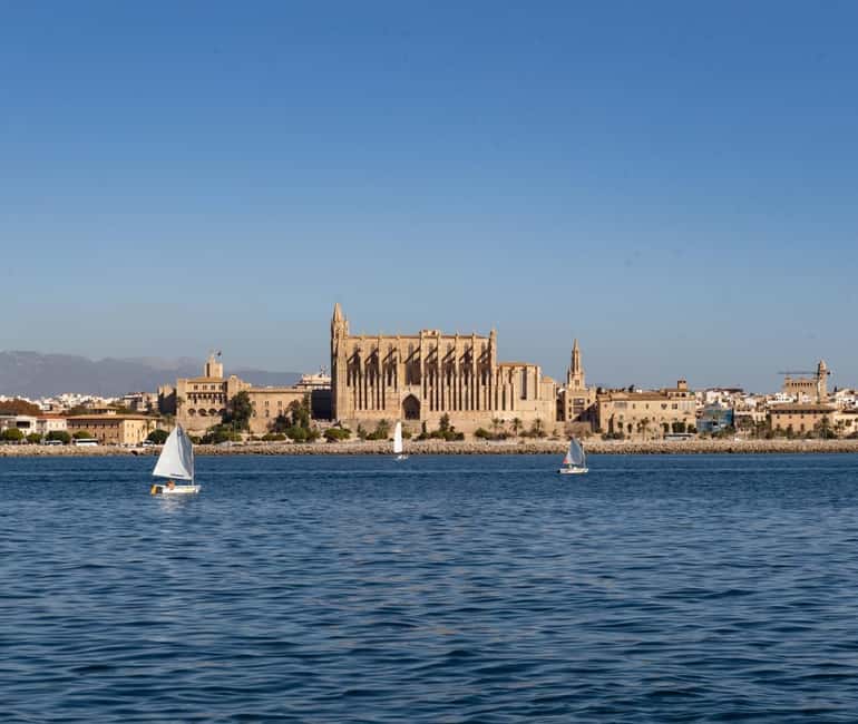 Mallorca: Visit Palma Speedboat adrenaline & snorkelling - Palma Cathedral and the Palma de Mallorca pass: quick sights, good perspective