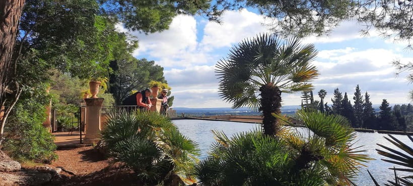 Mallorca: West Coast & Orange Valley Minbustour - Sóller and the Orange Valley: how the day turns from town to grove