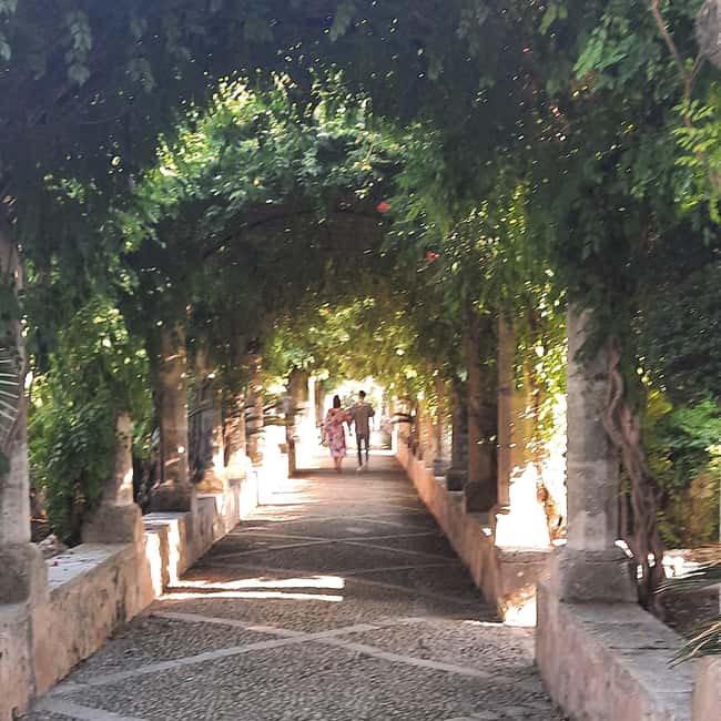 Mallorca: West Coast & Orange Valley Minbustour - Your organic finca tasting: oranges, marmalade, and the Pam amb Oli moment