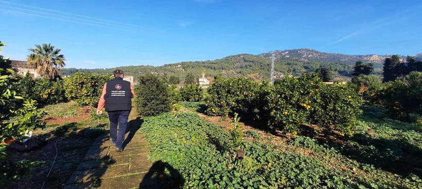 Mallorca: West Coast & Orange Valley Minbustour - Valldemossa: ensaimada, cafés, and a romantic mountain village pause