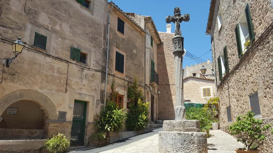 Mallorca: West Coast & Orange Valley Minbustour - Price and value: why $123 can make sense here