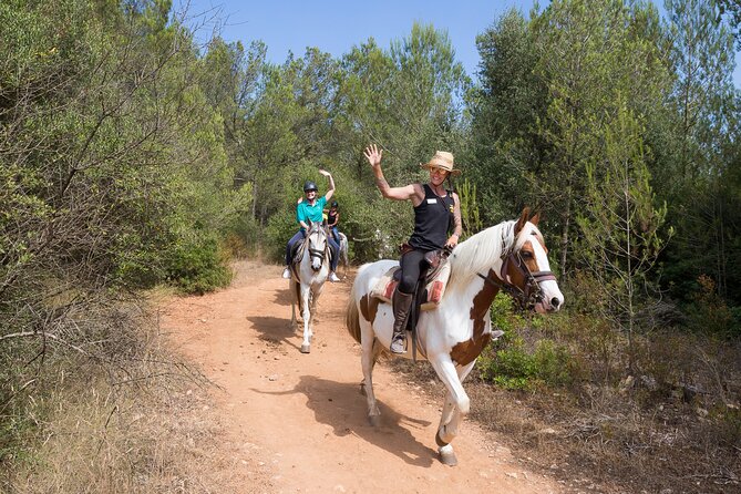 Mallorca Wine and Cheese Tasting - The 2-hour flow: how the tasting moves