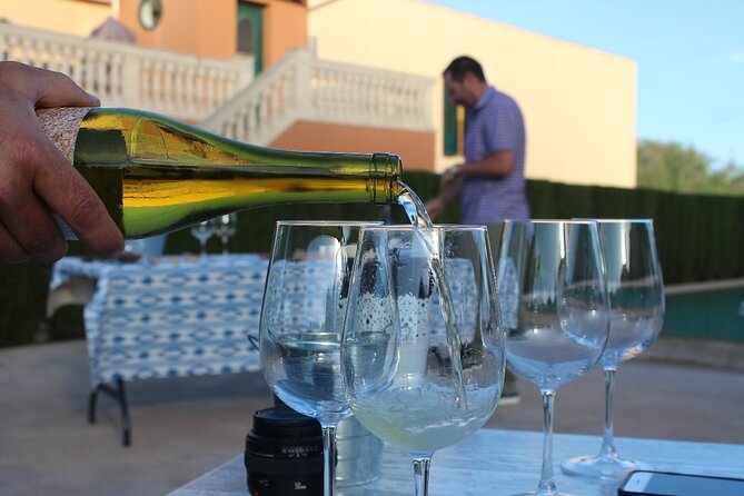 Mallorca Wine and Cheese Tasting - The guide matters: Miguel’s kind of passion