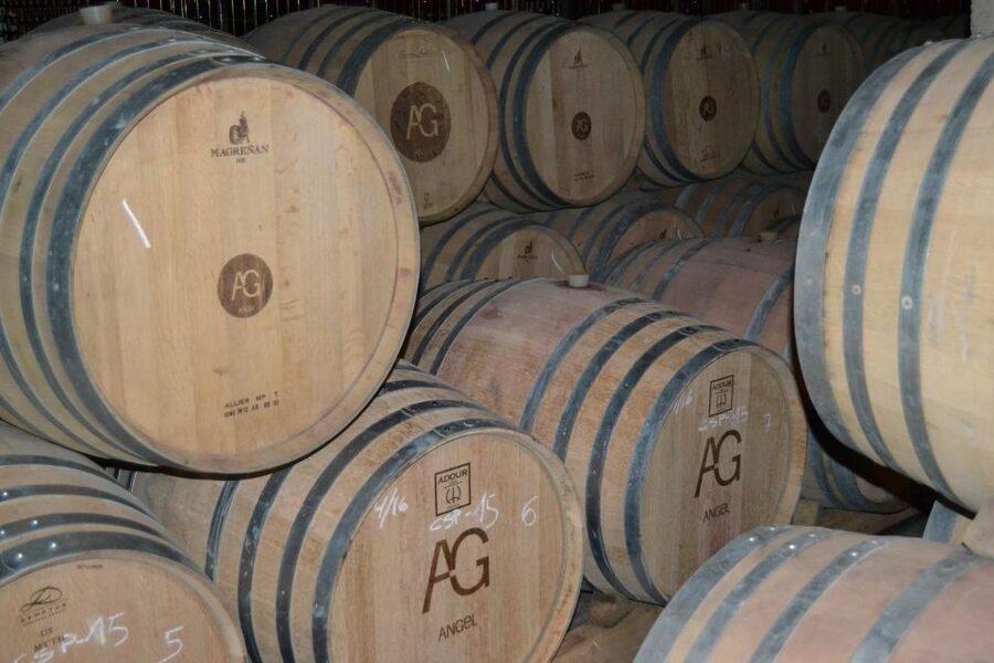 Mallorca: Wine Cellar Tour XL - including 3 Wine Tastings - Stop 2: another region, another bodega, and snack pairings that make the tasting easier