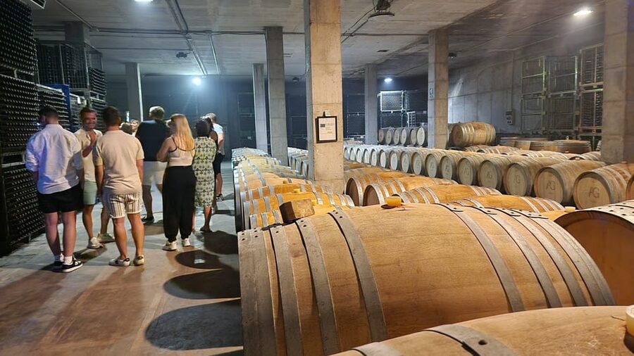Mallorca: Wine Cellar Tour XL - including 3 Wine Tastings - Stop 3: final bodega with regional food and time to find your real favorites
