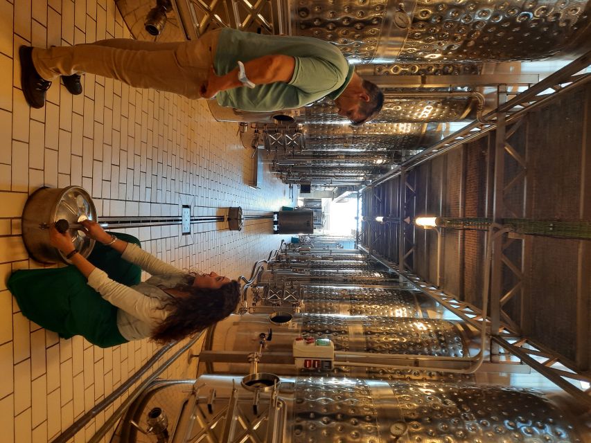 Mallorca: Wine Cellar Tour XL - including 3 Wine Tastings - Practical tips so you enjoy every tasting without rushing
