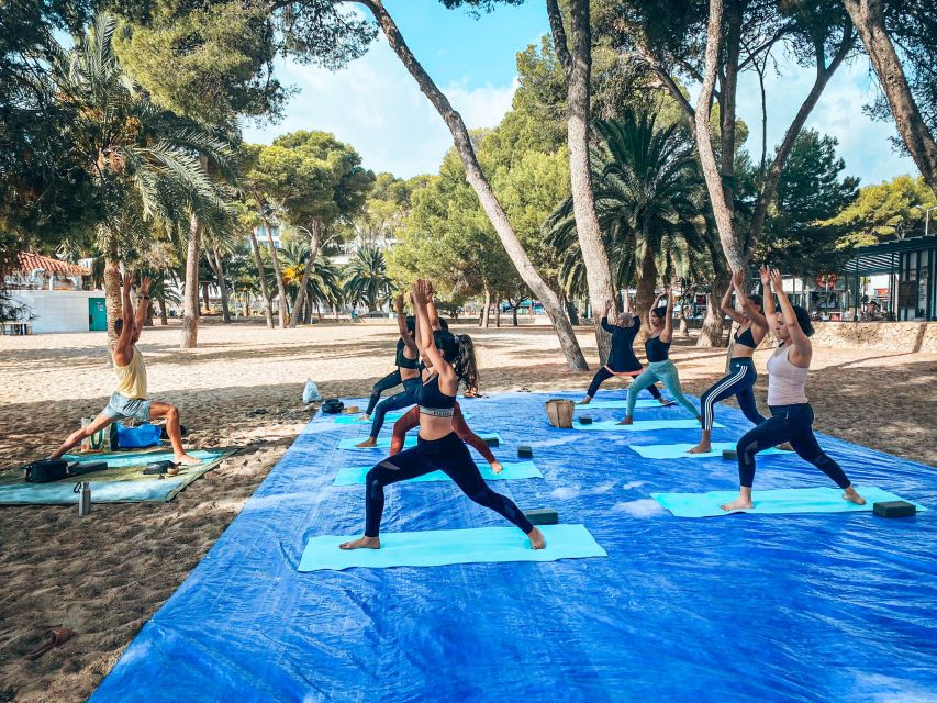 Mallorca: Yoga and Brunch on Palmanova Beach - The 90 Minutes: Hatha-Vinyasa on the Sand (Under Trees)