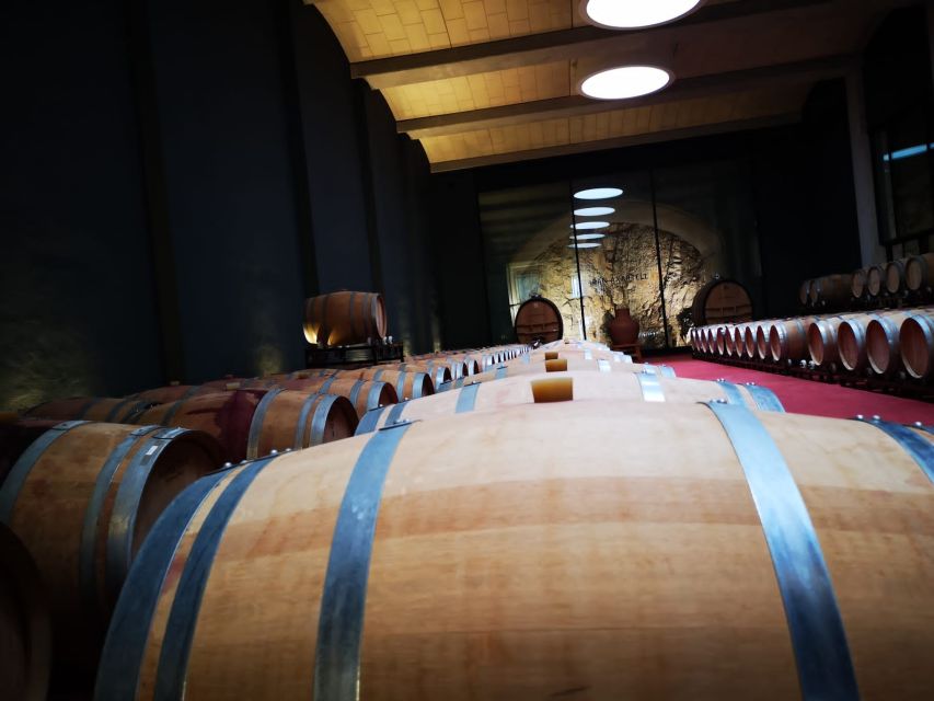 Mallorcas Emblematic Wineries Small Group Tour, two wineries - Santa Maria del Camí and Binissalem: why this pairing works