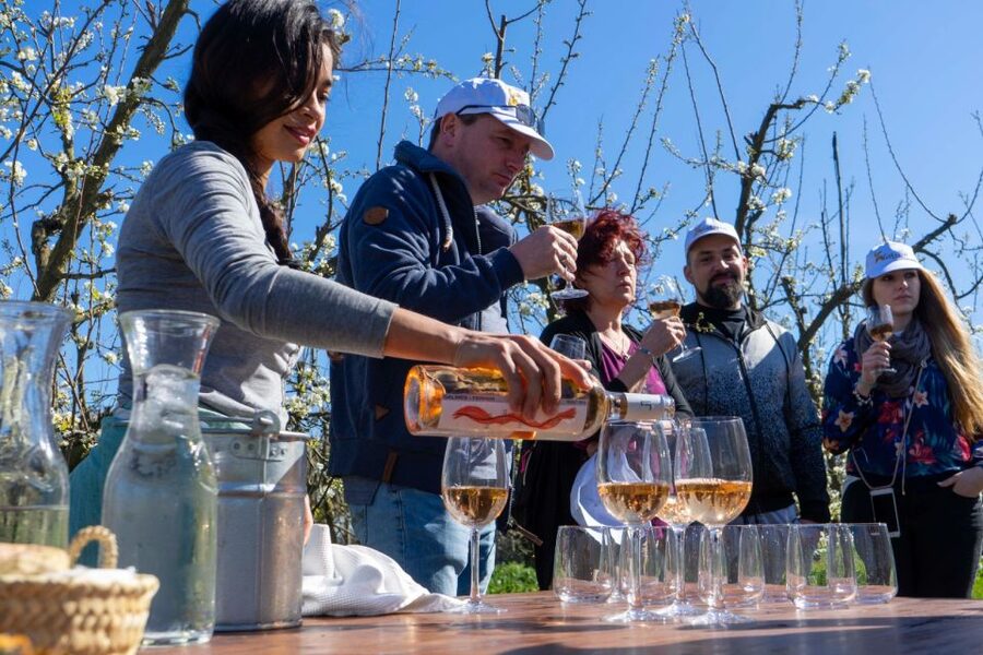 Mallorcas Emblematic Wineries Small Group Tour, two wineries - What you’ll taste: local wines plus included snacks and picnic