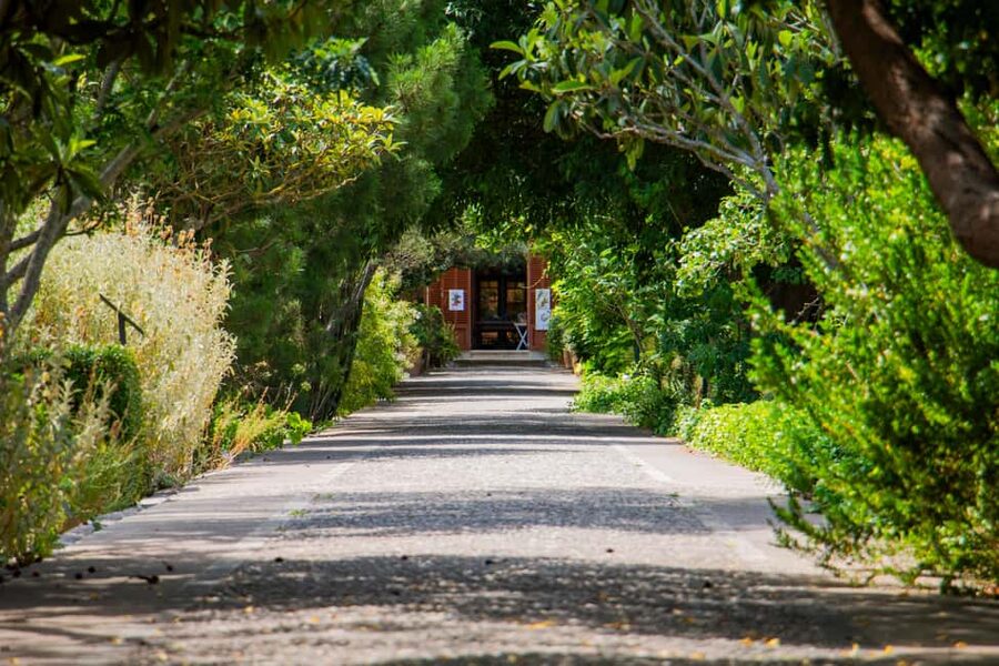 MUCBO | Sóller Botanical Garden - Balearic Museum of Natural Sciences - Key things to know before you go
