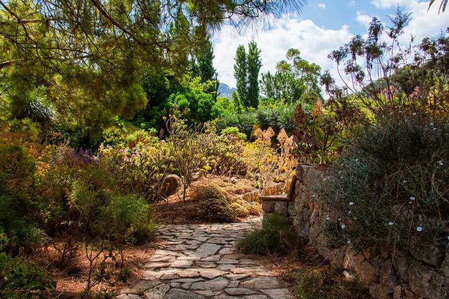 MUCBO | Sóller Botanical Garden - Balearic Museum of Natural Sciences - The Sóller Botanical Garden outside: living plants, herbarium, and germplasm ideas