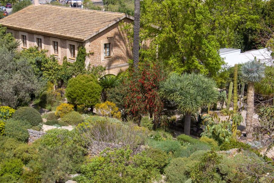 MUCBO | Sóller Botanical Garden - Balearic Museum of Natural Sciences - Price and logistics: about $10 and why value depends on expectations