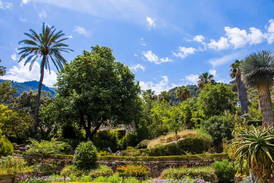 MUCBO | Sóller Botanical Garden - Balearic Museum of Natural Sciences - FAQ