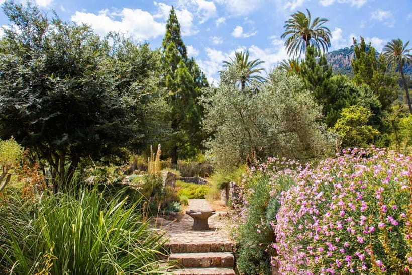 MUCBO | Sóller Botanical Garden - Balearic Museum of Natural Sciences - Inside the Balearic Museum of Natural Sciences: what you’ll actually be looking at