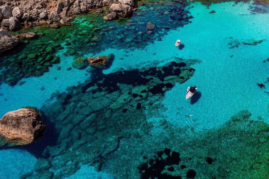 North Coast Dolphins Sunrise Adventure Tour - Why the dawn on Mallorca’s north coast hits different