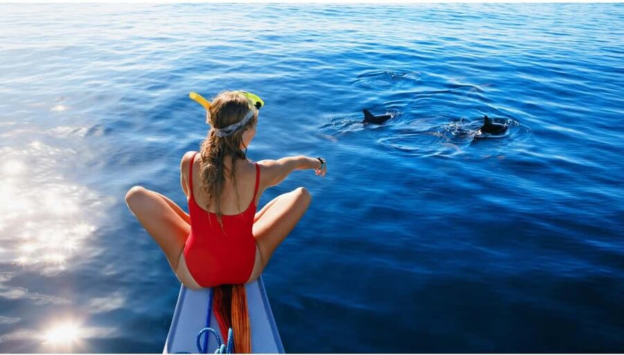 North Coast Dolphins Sunrise Adventure Tour - On the water: spotting dolphins without rushing