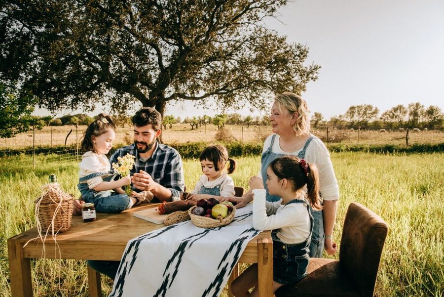 Olive plant and mill visit and tasting - Price and time: what $112 gets you in real life