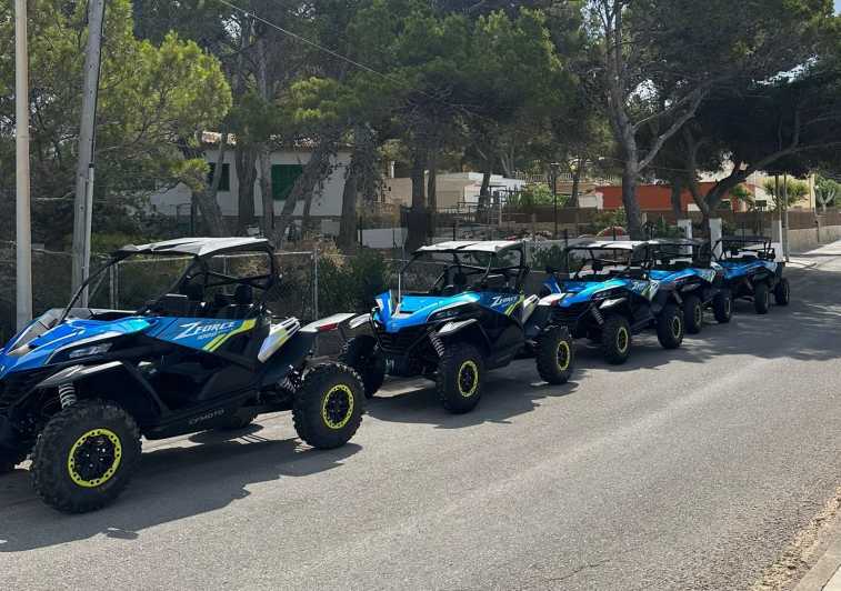 Paguera: 2 Hour Buggy Tour - Key points before you go
