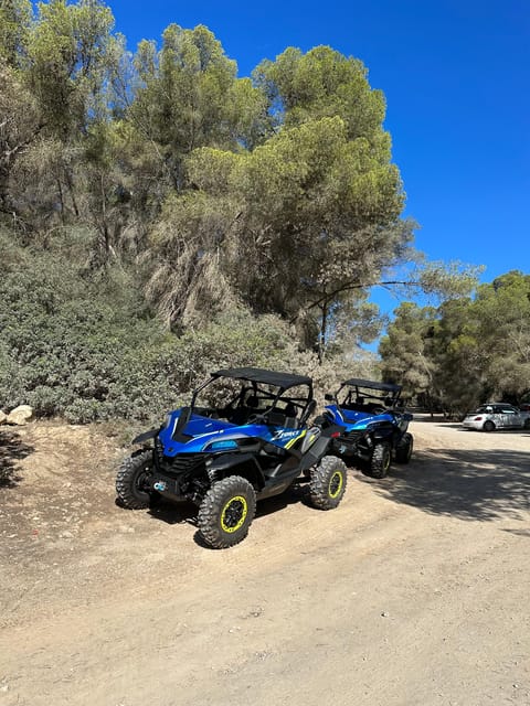 Paguera: 2 Hour Buggy Tour - Paguera-to-Calvià: why this buggy tour feels different