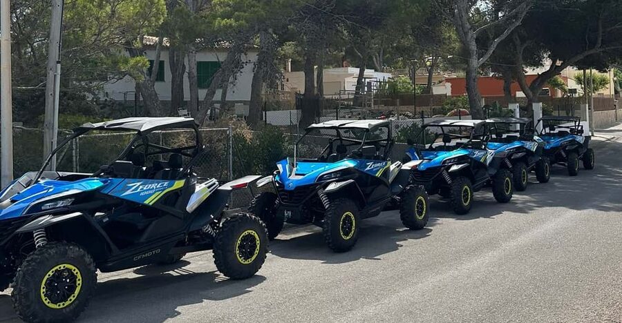 Paguera: 2 Hour Buggy Tour - The 2-hour route: Malgrats Island, Calvià coastline, Cap Falco, then inland