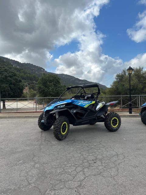 Paguera: 2 Hour Buggy Tour - Price and value: is $69 for 2 hours a good deal?