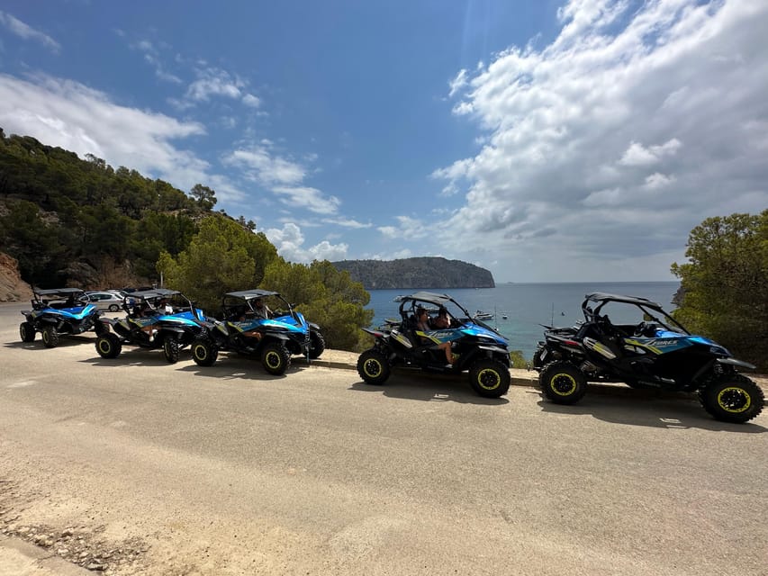 Paguera: 2 Hour Buggy Tour - Should you book the Paguera 2-hour buggy tour?