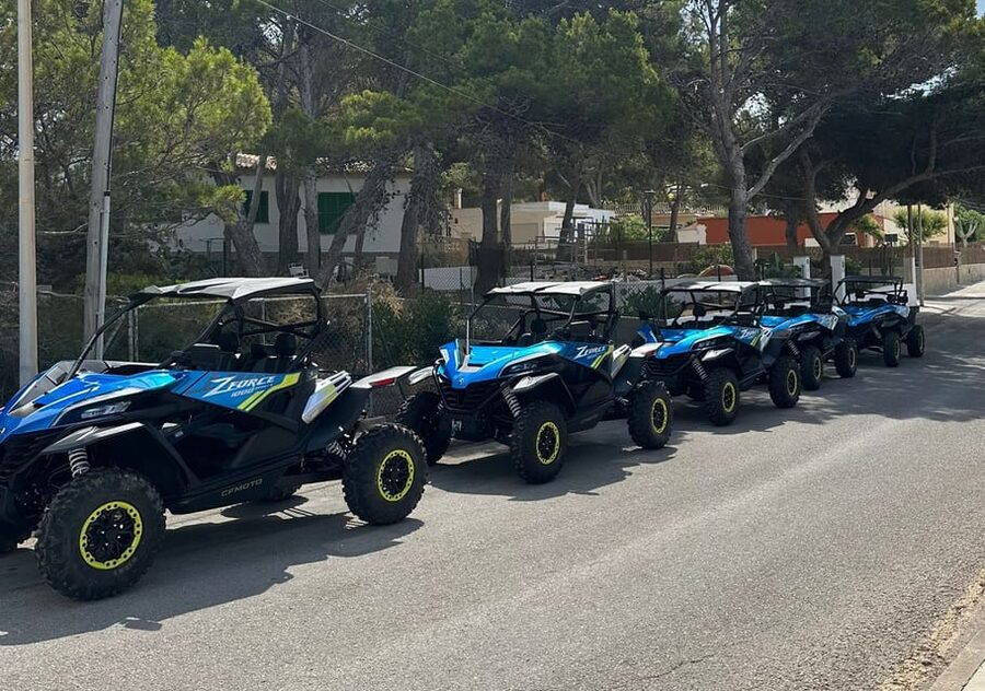 Paguera: 2 Hour Buggy Tour - Meeting at Carrer de La Savina and getting your bearings