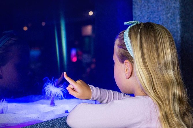 Palma Aquarium with return bus from Port Alcudia - Kids’ area, touch pool, and the pirate-ship setup