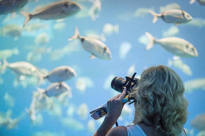 Palma Aquarium with return bus from Port Alcudia - How much time you get—and how early you can leave