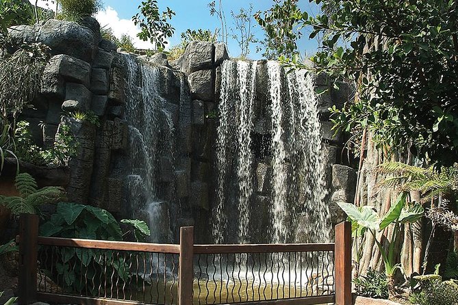 Palma Aquarium with return bus from Port Alcudia - Palma town option: cathedral and palace time for east Mallorca stays